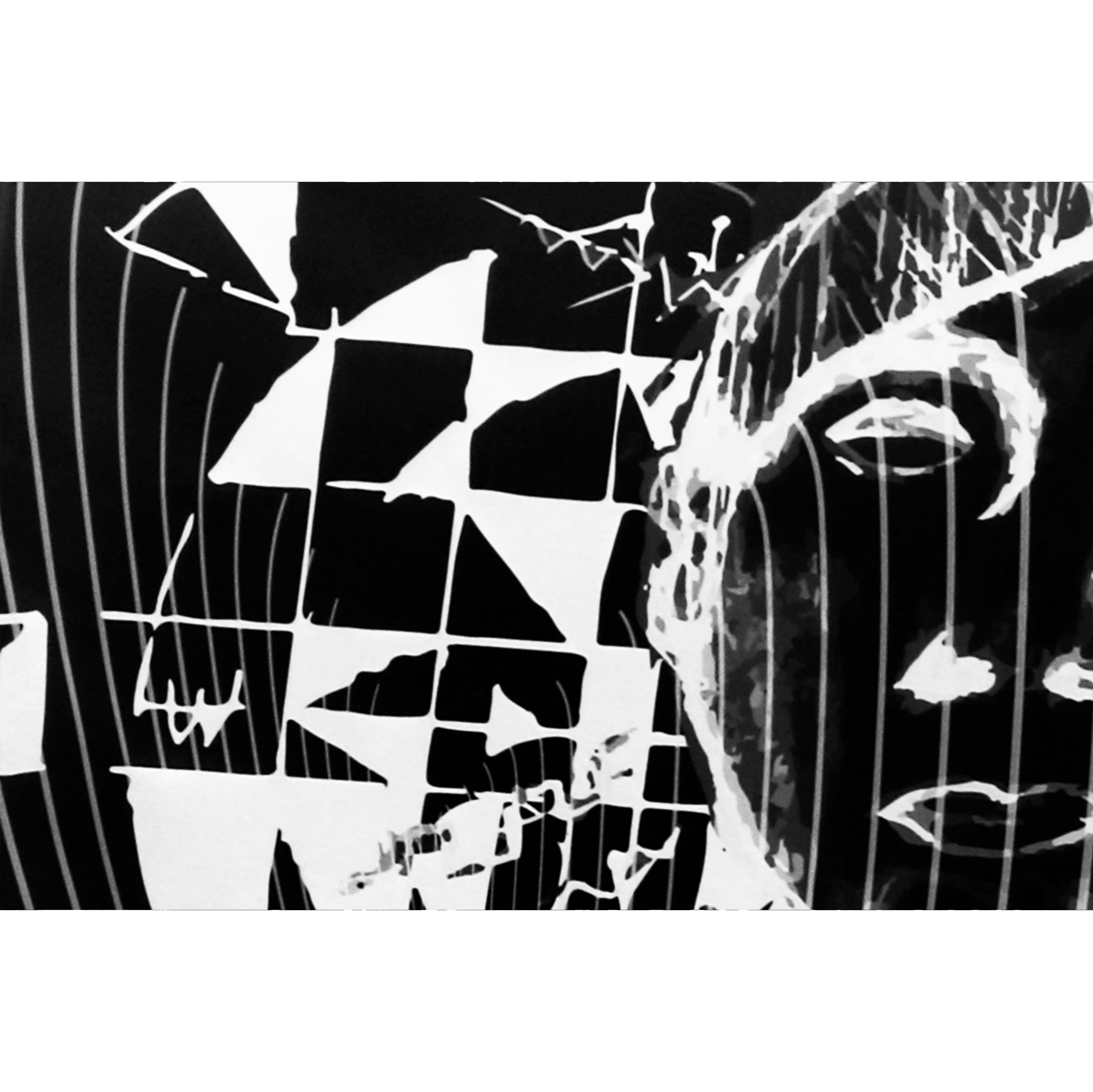 ARTWORK - SPIRIT IN MINDS(BLACK / WHITE)
