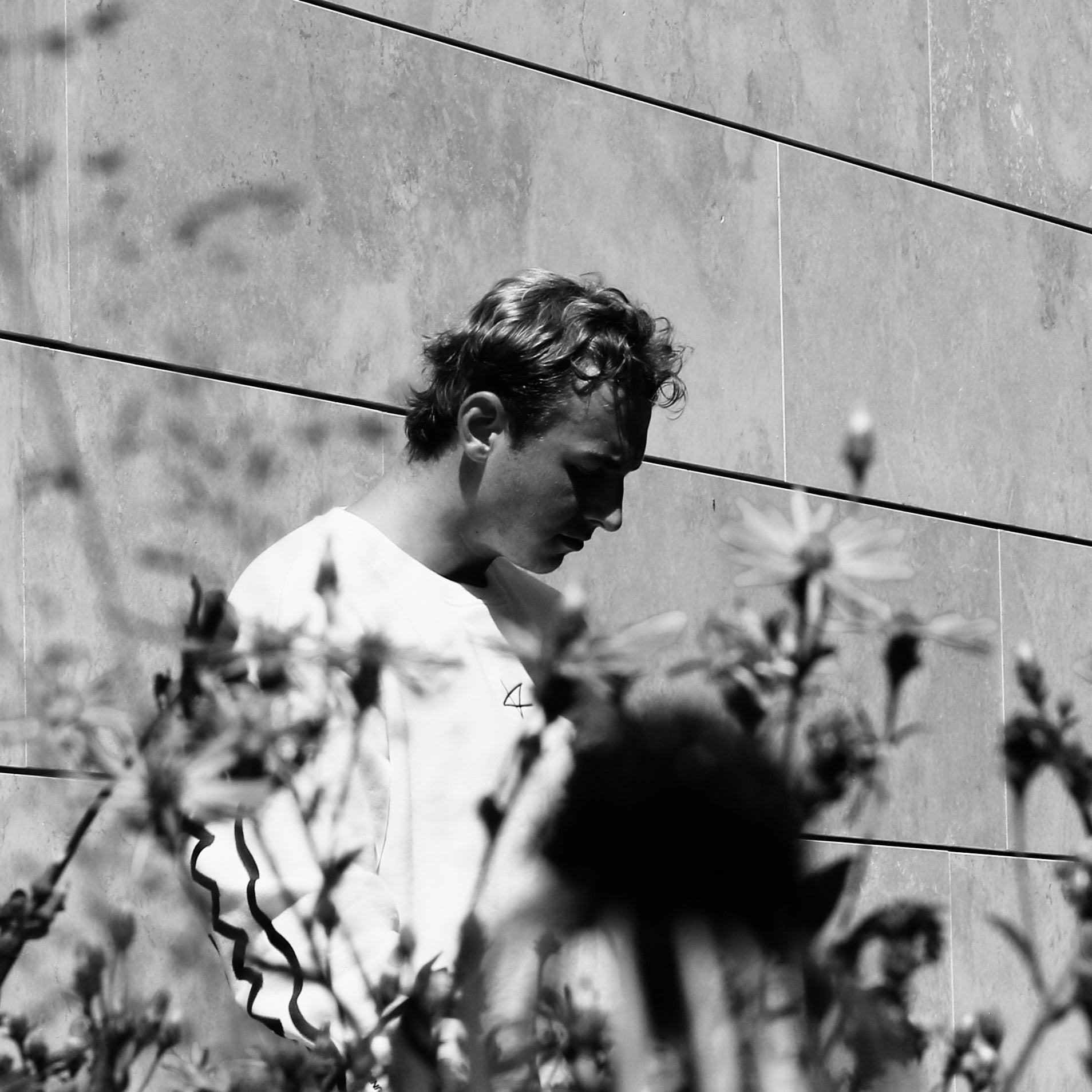 The Author